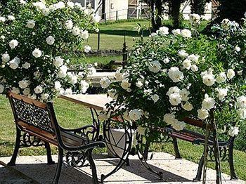 Hotel La Chaum'Yerres Chaumes-en-Brie 외부 사진